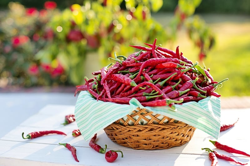 Dragon Fire Chili
